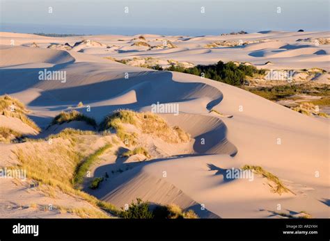 dunes, Oregon Coast, Oregon Dunes National Recreation Area, Siuslaw ...