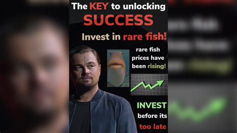 rare fish market meme - Relevant Hd