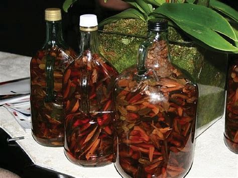 Mama Juana Recipe ( Dominican Republic Drink ) | Maggwire