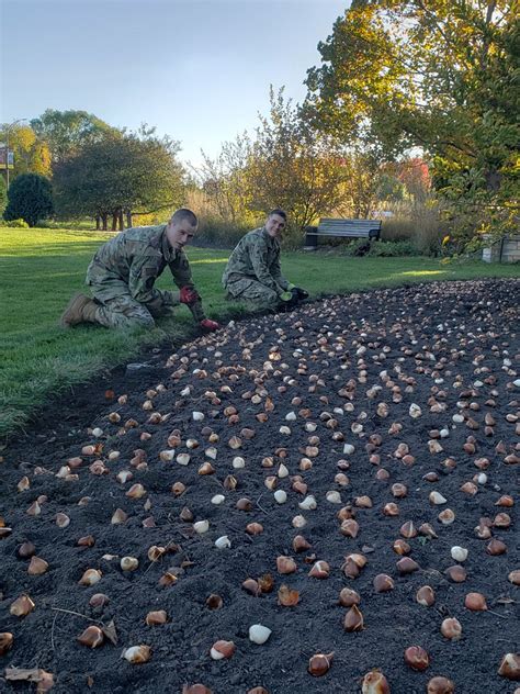 Bulb Planting Fall 2023 | Reiman Gardens Volunteers | Flickr