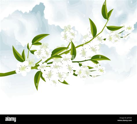 Tree Branch with Green Leaves Stock Photo - Alamy