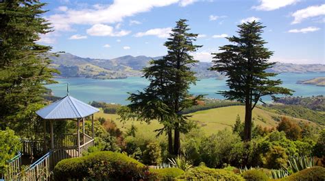 Visit Dunedin: 2024 Travel Guide for Dunedin, Otago | Expedia