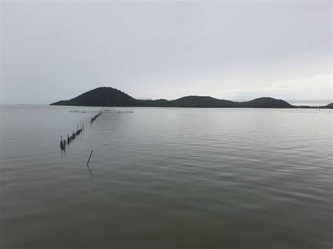 Chilika Lake: Here