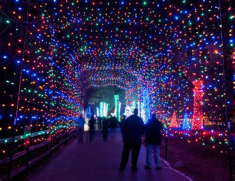 Dallas Zoo Lights will transform the Dallas Zoo into a winter ...