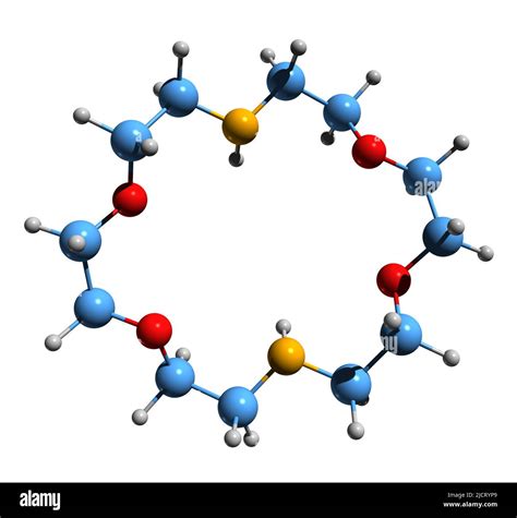 3D image of 1,6-diaza-18-crown-6 skeletal formula - molecular chemical structure of crown ether ...