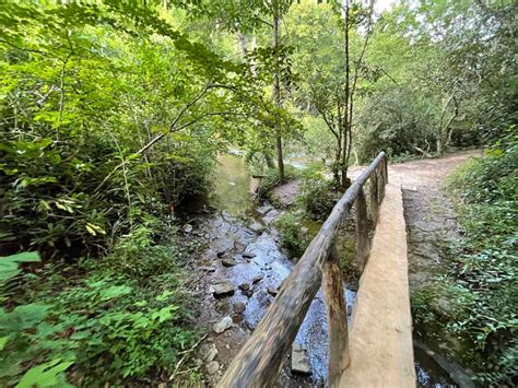 Abrams Falls Trail: Smoky Mountain Hikes - PigeonForge.com