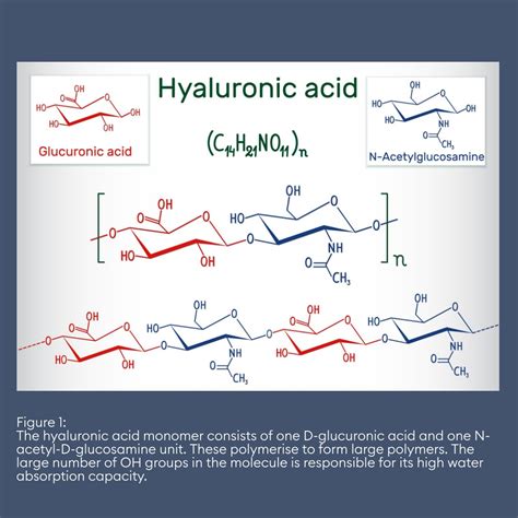 Hyaluronic acid: A popular anti-aging agent | Cosphatec