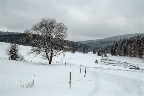 winter walk | Vessertal, Thuringian Forest, Germany www.gale… | Flickr