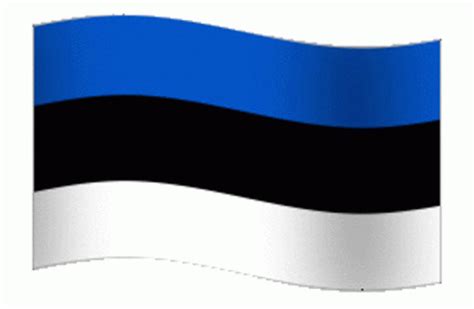 Estonia Estonian Flag GIF - Estonia EstonianFlag Estonians - Discover ...