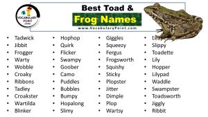 Frog Names (Best, Funny, Cute, Male & Female) - Vocabulary Point