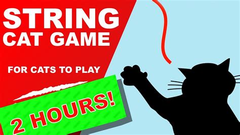 Cat Games: String 2 Hours 🙀 (addictive) - YouTube