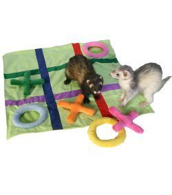 Marshall Tic Tac Toe Ferret Blanket - Ferret.com | Pet ferret, Ferret ...