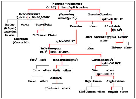 The language tree was constructed by comparison of words and grammar of ...