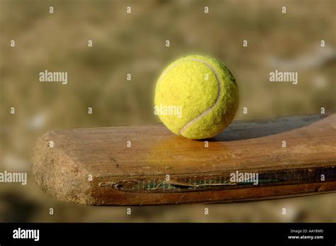 HMA78723 tennis Ball balancing on surface of cricket bat Stock Photo ...