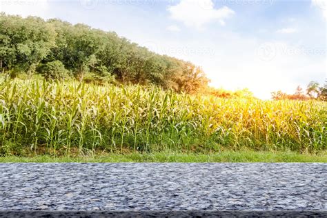 Marble table with corn farm with blue sky 10786537 Stock Photo at Vecteezy