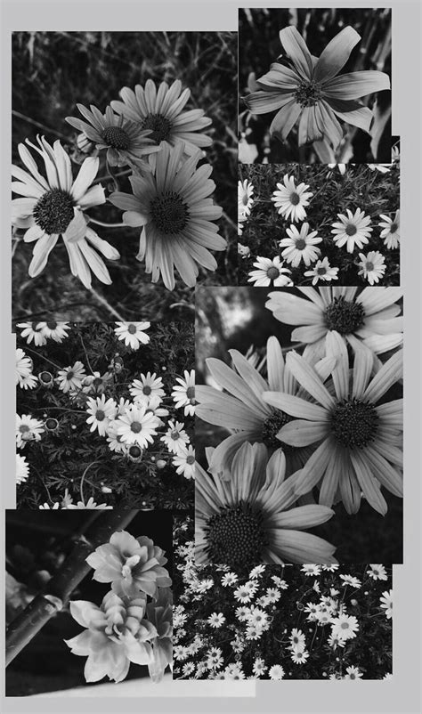 Flower aesthetic wallpaper | Flower aesthetic, Black aesthetic wallpaper, Aesthetic wallpapers