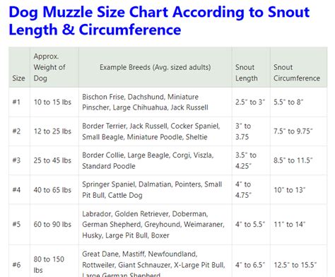 Dog Muzzle Size Chart: Recommend Sizing Guide By Breed & Weigh