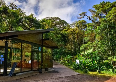 The Best Santa Elena Cloud Forest Reserve (Reserva Bosque Nuboso Santa ...