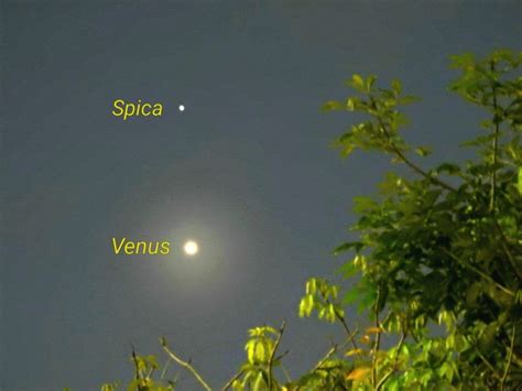 Why is Venus so bright? | Space | EarthSky | Brightest planet, Venus, Space science