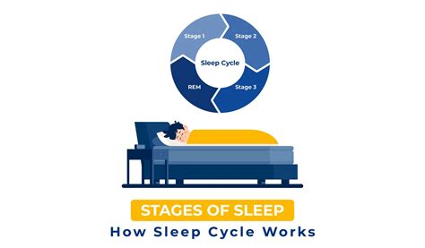 Stages Of Sleep: How Sleep Cycles Works | Sleep Standards