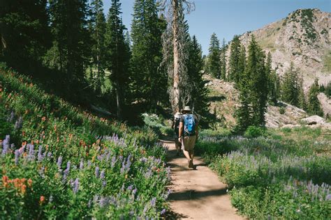 Hiking Lake Mary & Catherine in Utah — monetsommers