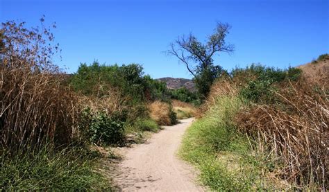 Carbon Canyon Regional Park, Brea, CA - California Beaches