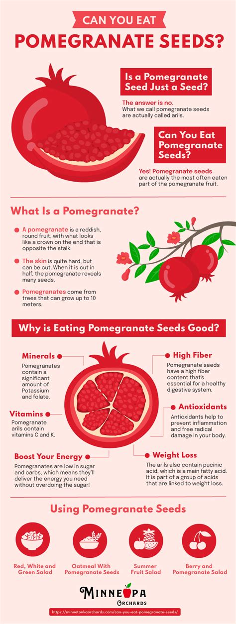 Can You Eat Pomegranate Seeds? Your Great Question Answered! - Minneopa ...