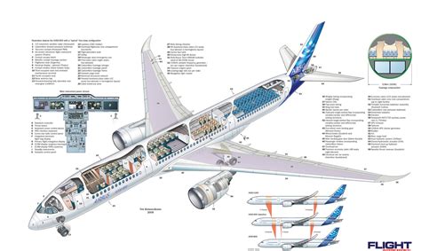 Airbus A350-900 cutaway view ~ World stewardess Crews