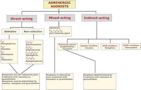 Adrenergic agonists