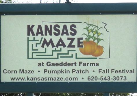 Kansas Maze Sunflower Festival - Buhler, Kansas