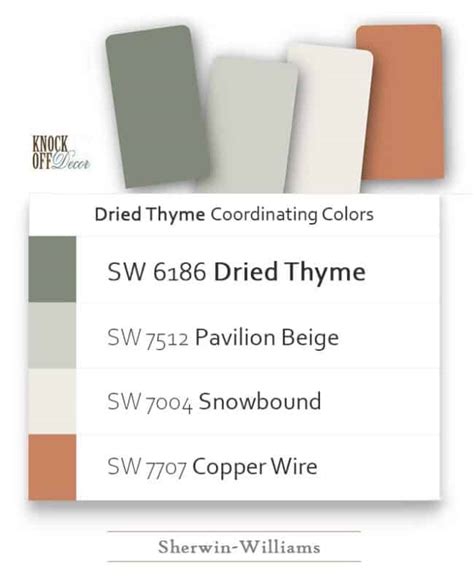 Sherwin Williams Dried Thyme Review – The Trending Sage Green Paint ...