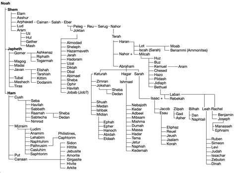 Noah From The Bible Family Tree