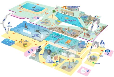 Oceanarium Map | Oceanarium Bournemouth Aquarium Architecture, Concept ...