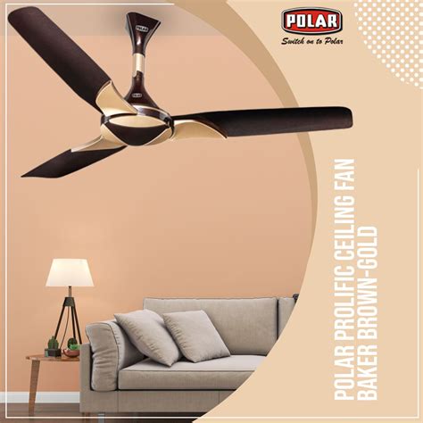 Polar brings to you ceiling fan with the innovative and contemporary ...