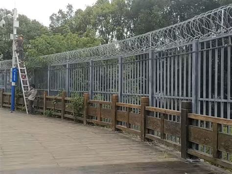 China Builds Myanmar Border Wall to Stop Coronavirus Spread