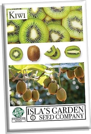 Amazon.com : Kiwi Seeds for Planting, 30+ Seeds per Packet, (Isla's ...