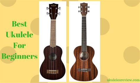 Pin by Roy Smeck on Best ukulele for beginners | Ukulele, Best, Beginners