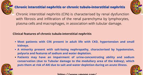 What are the causes of chronic interstitial nephritis?