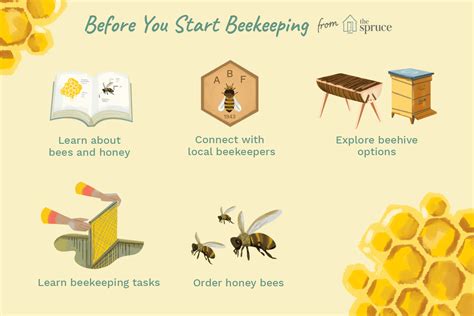 A Beginner's Guide to Beekeeping