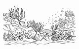 Underwater Coloring Printable sketch template