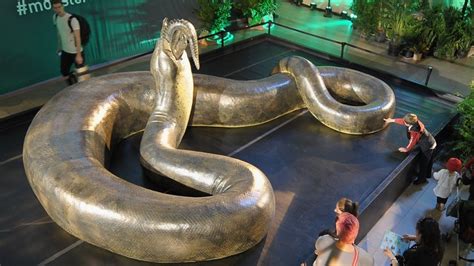 Why Did The Titanoboa Go Extinct?