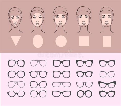 Woman Face Types and Sunglasses Stock Vector - Illustration of oval, person: 76136623