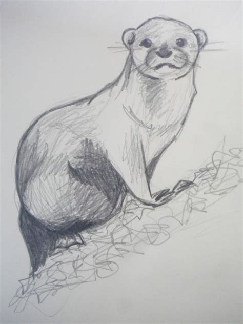 Pointsies: Otter Doodle