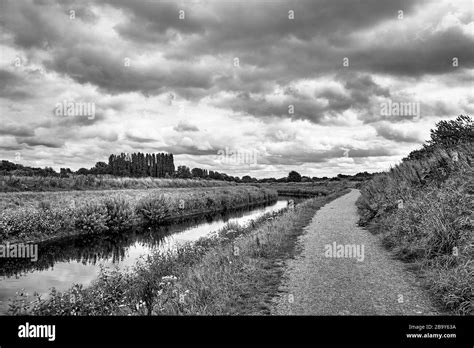 English woodland walks Black and White Stock Photos & Images - Alamy