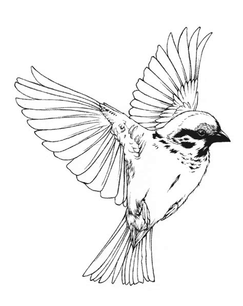 Song Bird Art GIF - Find & Share on GIPHY