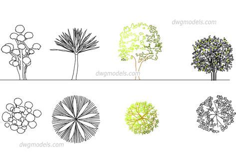 Ornamental trees - CAD Blocks, free dwg file. | dancing stone | Tree plan, Cad blocks, Building ...