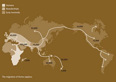 Australien för 50000 år sedan | Tidslinje för Australiens migrationshistoria |NSW Migration ...