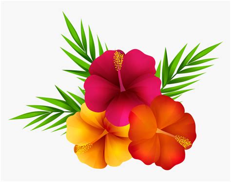 Free Tropical Flowers Cliparts, Download Free Tropical Flowers Cliparts png images, Free ...