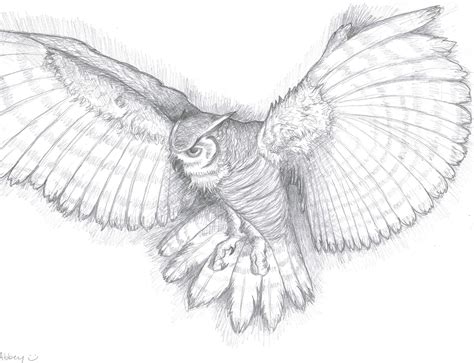 Owl Drawings | Pin Owl Pencil Drawing picture to Pinterest | Drawing ...