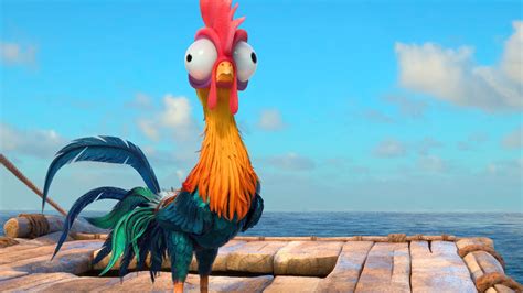 Heihei Moana Disney Movie Chicken Wallpaper - Heihei In Moana - 1920x1080 Wallpaper - teahub.io